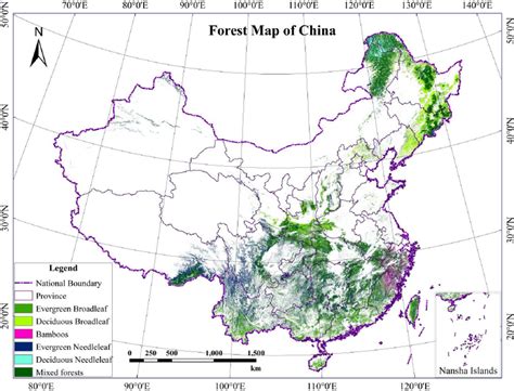 forest area in china
